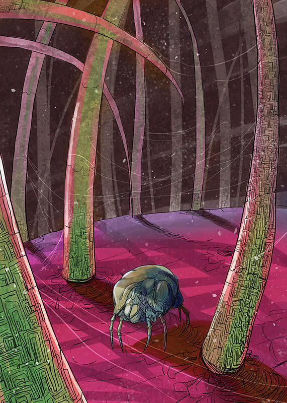 Illustration of a dust mite in hair.