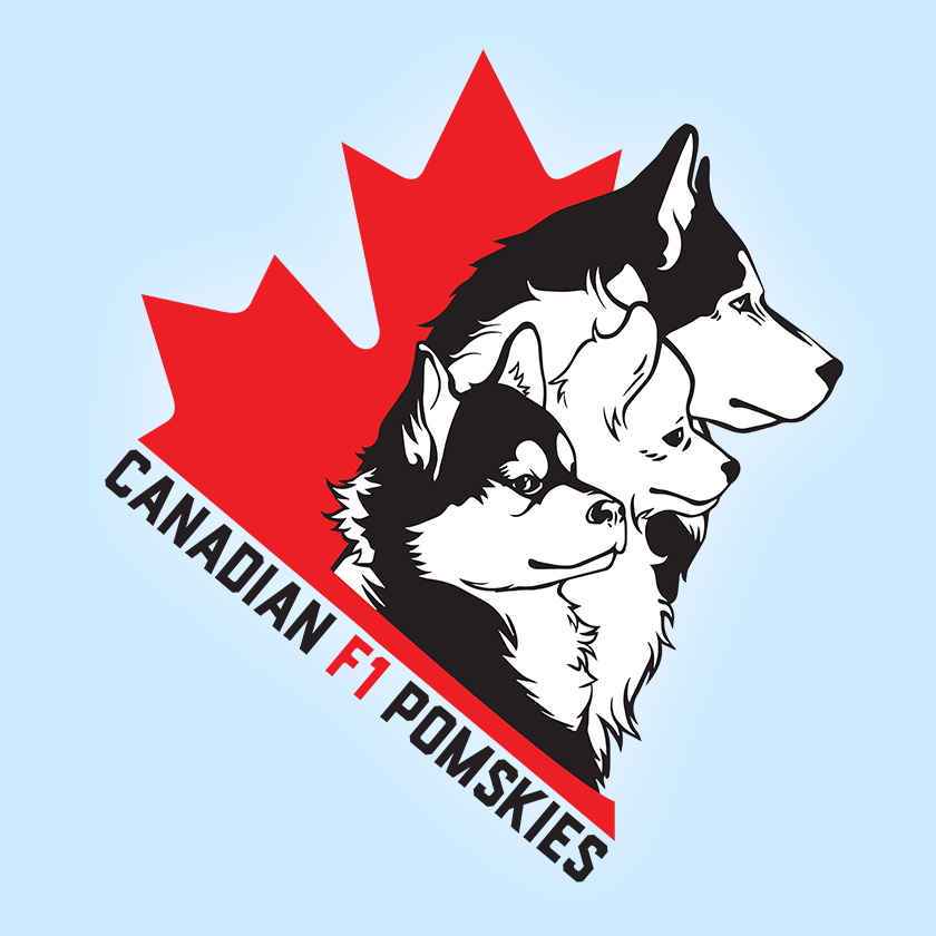 Logo featuring the business owners favourite dogs.